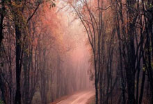 PG电子游戏：西甲：皇家马德里4比2击败塞维利亚.