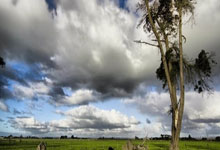 PG电子游戏：荣耀时刻，穆西亚拉领取年度德国国家队最佳球员奖.