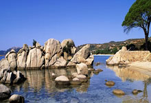 PG电子游戏：[德甲]法兰克福角球开前点 克里斯滕森头球破门.